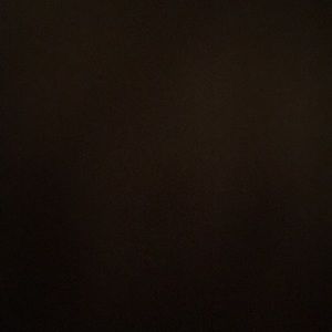 Meet your Posher, Shaye